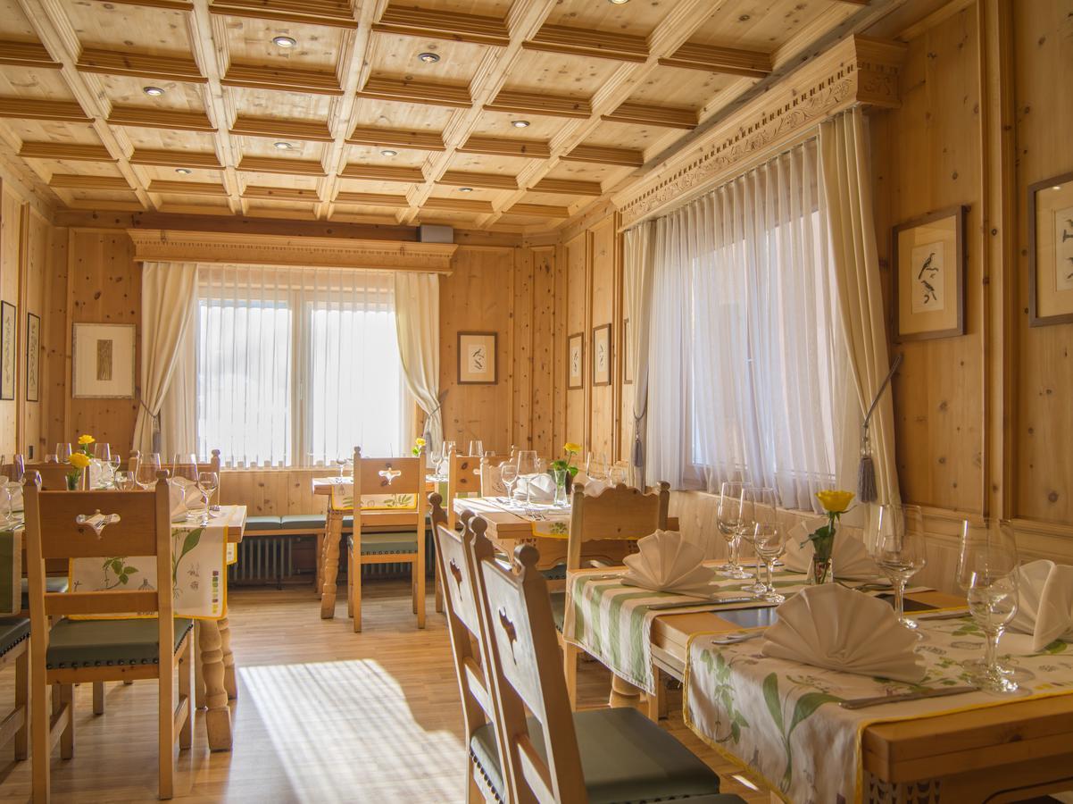 Hotel Alpina 체르네츠 외부 사진